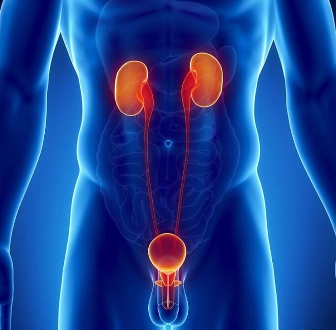 jakie choroby przewlekłe mogą wpływać na męską potencję